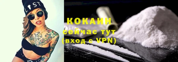 индика Баксан