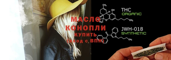 индика Баксан