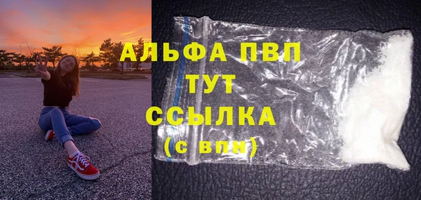 индика Баксан