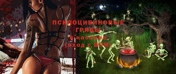индика Баксан