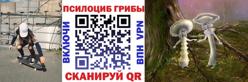 Галлюциногенные грибы Psilocybine cubensis Пласт